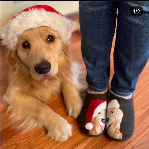 L.L. Bean Shoes Ll Bean Daybreak Scuff Slippers Golden Retriever Ws